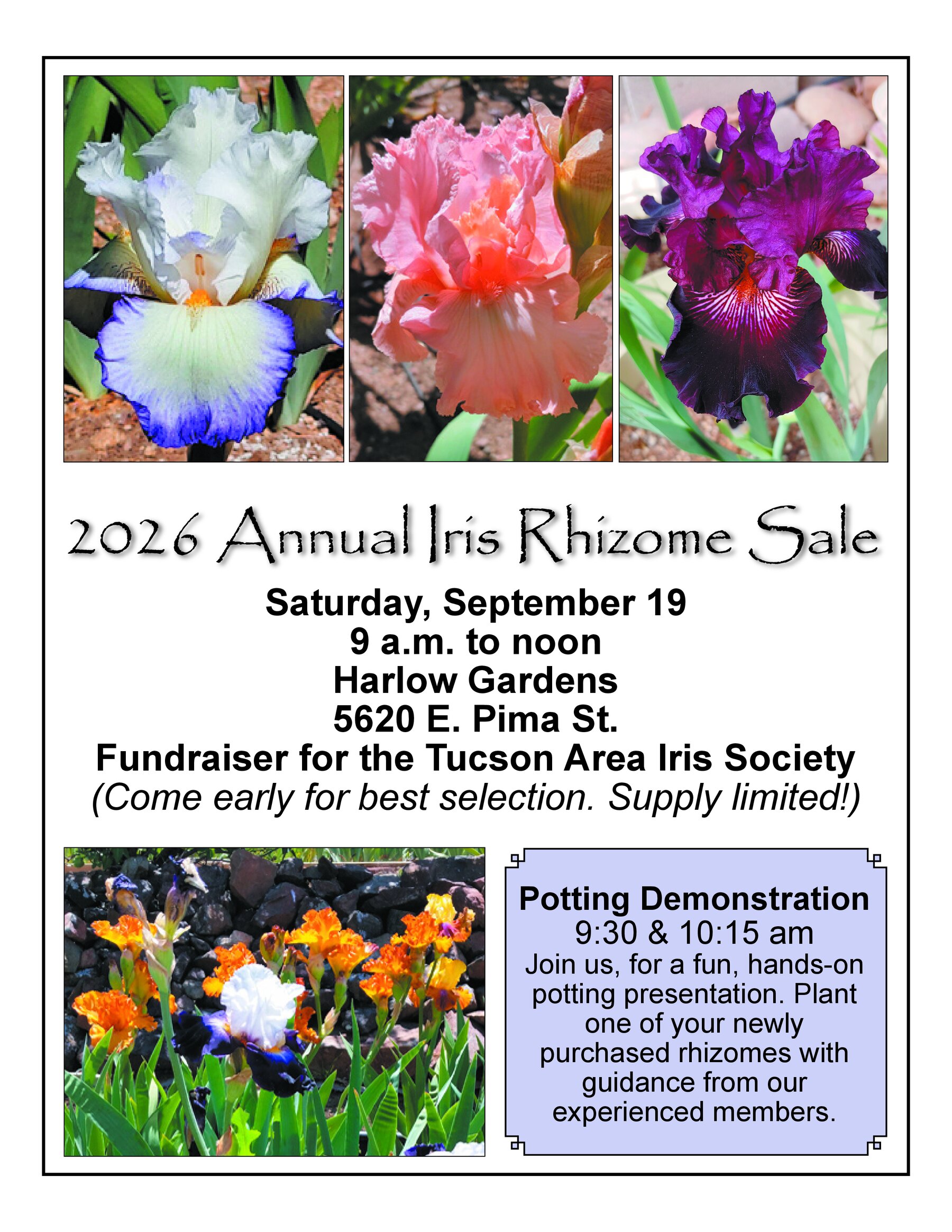 2026 Annual Iris Rhizome Sale - Saturday, September 19, 9 a.m. to noon at Harlow Gardens, 5620 E. Pima St. Potting demonstrations at 9:30 and 10:15 am.